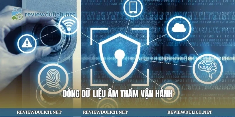 Dòng dữ liệu âm thầm vận hành