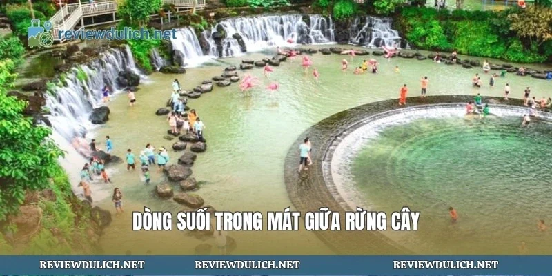 Dòng suối trong mát giữa rừng cây