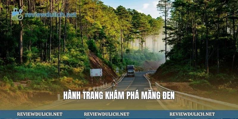 Hành trang khám phá măng đen