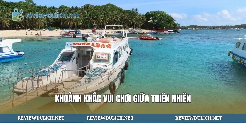 Khoảnh khắc vui chơi giữa thiên nhiên