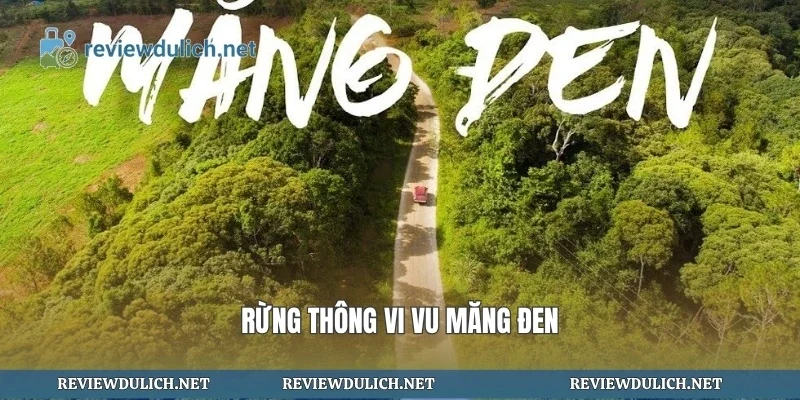 Rừng thông vi vu măng đen
