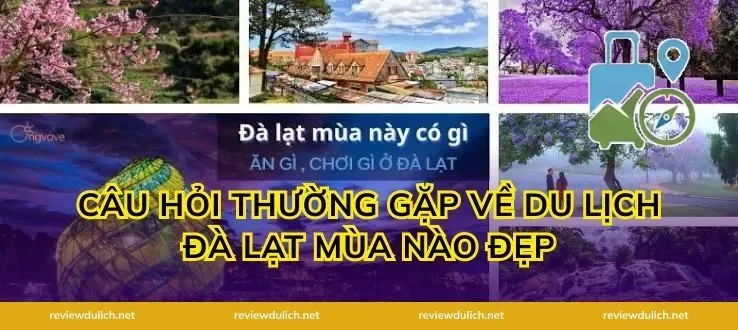 Câu Hỏi Thường Gặp Về Du Lịch Đà Lạt Mùa Nào Đẹp