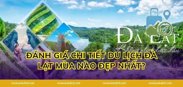 Đánh Giá Chi Tiết Du Lịch Đà Lạt Mùa Nào Đẹp Nhất?